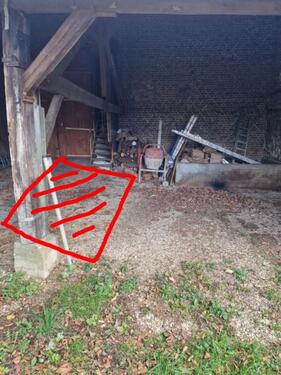 Foto - andere in Meerbusch