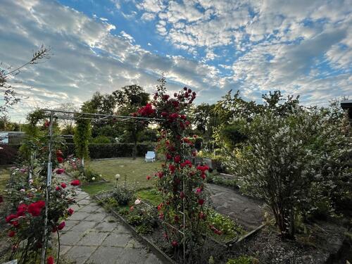 Foto - Pachtgarten KGV Torgau Süd - 100,00 EUR Kaltmiete, ca.  0,00 m²