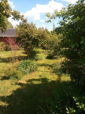 Foto - Garten in Zeulenroda - 1.500,00 EUR Kaltmiete, ca.  0,00 m²
