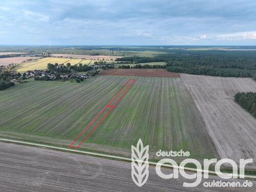 Foto - Kleiner Acker für Jedermann (ca. 0,4 ha) nordwestlich von Großräschen - ohne GrdStVG!