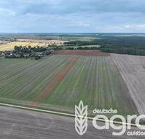 Kleiner Acker für Jedermann (ca. 0,4 ha) nordwestlich von Großräschen - ohne GrdStVG! - Calau