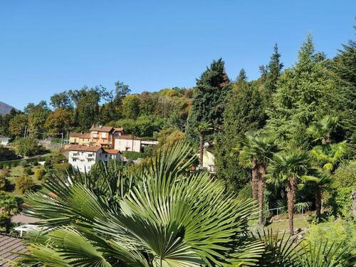 Foto - andere in Schwalbach am Taunus