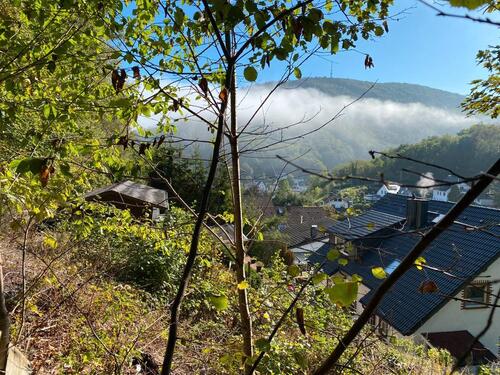 Foto - Ideales Freizeitgrundstück im Westen des Sauerlands (Plettenberg)