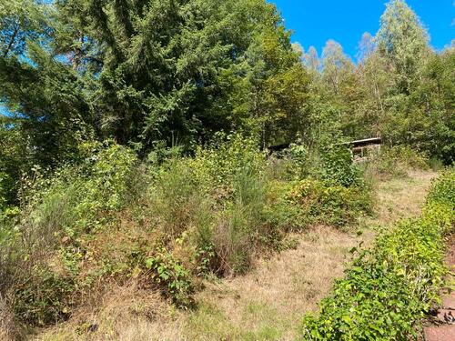 Foto - Grundst&uuml;ck in Plettenberg zur Miete