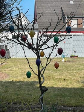 Foto - Etagenwohnung in Zweibrücken zur Miete