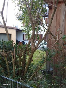 Foto - 9 Zimmer Mehrfamilienhaus, Wohnhaus in Augsburg