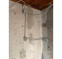 Garten zum ankommen - 1.000,00&nbsp;EUR Kaltmiete, ca.&nbsp; 0,00&nbsp;m&sup2; in Torgau (PLZ: 04860)