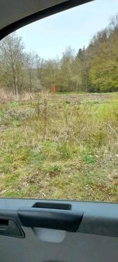 Foto - Einfamilienhaus zum Kaufen in Halver