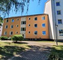 Genial zentral, Sie haben die Wahl. - Braunschweig Südstadt- Rautheim- Mascherode