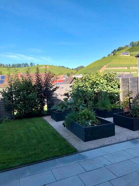 Foto - 1 Zimmer Terrassenwohnung zur Miete in Durbach