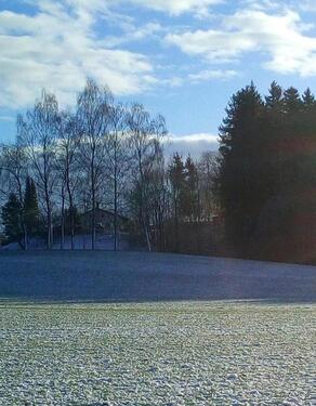 Foto - Vorankündigung! Gemütlicher, historischer Bauernhof!