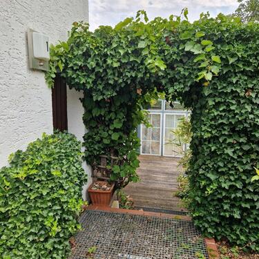 Foto - freistehendes Einfamilienhaus - 357.000,00&nbsp;EUR Kaufpreis, ca.&nbsp; 160,00&nbsp;m&sup2;