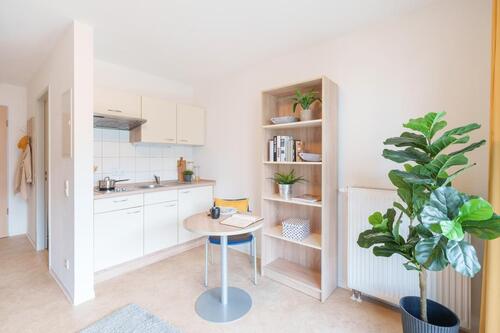 Foto - Etagenwohnung in Dresden zur Miete