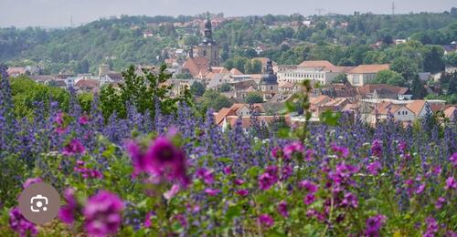 Foto - Loft Licht und Weitblick über Hettstedt