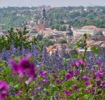 Loft Licht und Weitblick über Hettstedt