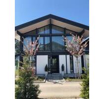 FERIENHAUS am Chiemsee - 40,00&nbsp;EUR Kaltmiete, in Chieming (PLZ: 83339)