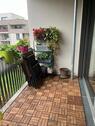 Foto - Etagenwohnung in Bruchsal zur Miete