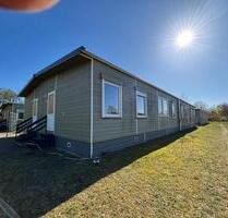 Mobilheim Tiny House LACET Ferienhaus - Hodenhagen