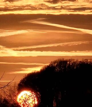Foto - Erdgeschoss Oase in Hettstedt 2FH