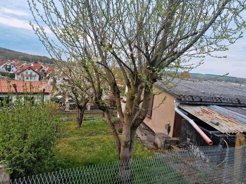 Foto - Grundst&uuml;ck zur Miete in Eisenach