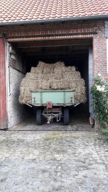 Foto - Einfamilienhaus in Meine zum Kaufen