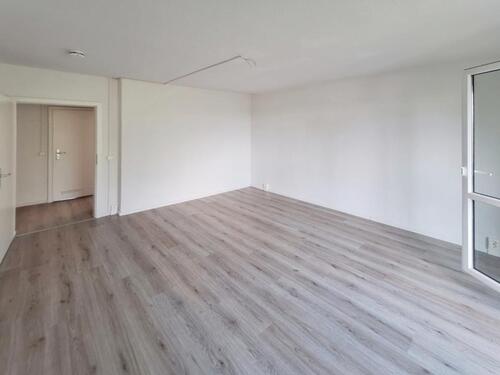 Foto - 3 Zimmer Erdgeschoßwohnung zur Miete in Dresden