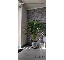 Wohnung 75 qm Mariadorf Alsdorf Wohnung 75 qm Mariadorf Alsdorf