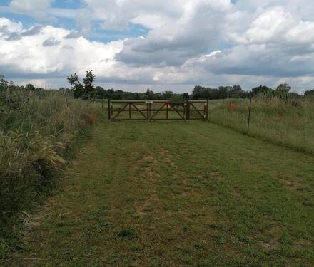 Foto - andere in Römerberg