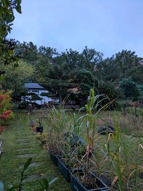 Foto - Gartengrundstück mit Bungalow zur Pacht - kein kleingartenverein!