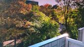 Foto - Wohnung zu vermieten ab 01.10.2025 nicht früher