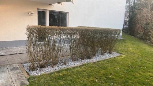 Foto - Etagenwohnung in Weinheim zum Kaufen