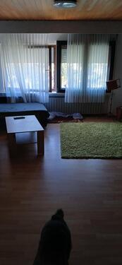 Foto - 