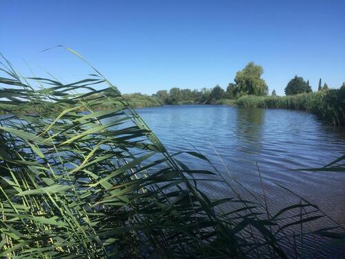 Foto - 2 Zimmer Einfamilienhaus zum Kaufen in Hodenhagen