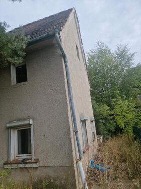 Foto - Einfamilienhaus in Bad Lausick