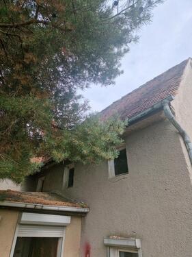 Foto - Einfamilienhaus in Bad Lausick zum Kaufen