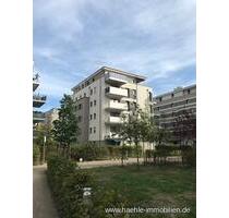 Striesen-Stadtgarten-2 Zimmer Wohnung mit großem Balkon - frei ab 01.12.2025 - Dresden Blasewitz