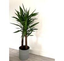 Möblierte 70 m² Dachgeschosswohnung DUISBURG nahe UNI - Düsseldorf Stadtbezirk 7