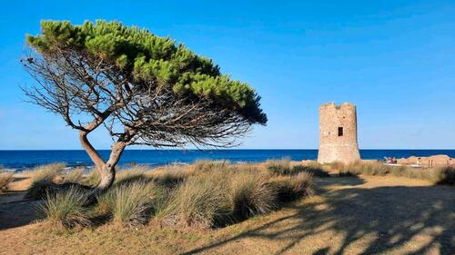 Foto - andere in Brühl