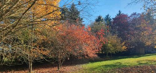Foto - 5 Zimmer Einfamilienhaus in Stockelsdorf