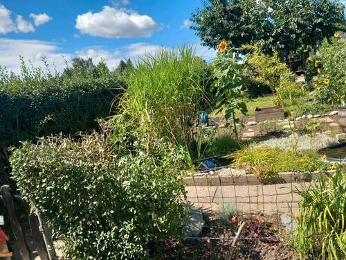 Foto - Garten abzugeben - 400,00&nbsp;EUR Kaltmiete, ca.&nbsp; 0,00&nbsp;m&sup2;