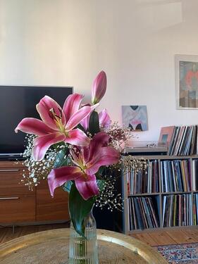 Foto - Zwischenmiete 1 Monat in Pankow