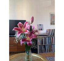 Zwischenmiete 1 Monat in Pankow - Berlin