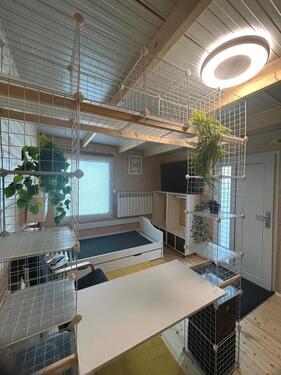 Foto - Etagenwohnung in Nittendorf