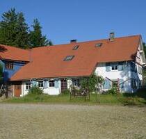 Kleiner, privater Pferdehof an Liebhaber zu verkaufen - Leutkirch im Allgäu