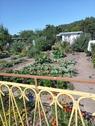 Foto - Kleingarten Pachtgarten - 1.200,00 EUR Kaltmiete, ca.  0,00 m²