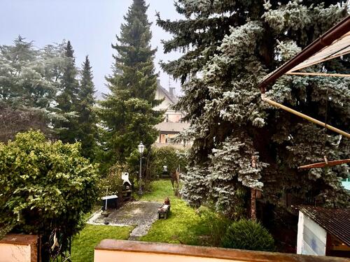 Foto - Einfamilienhaus in Alzey zum Kaufen