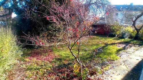 Foto - Einfamilienhaus in Aichtal zum Kaufen