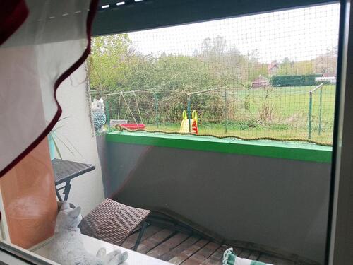 Foto - eine Zimer, vermite, , , rehburg loccum