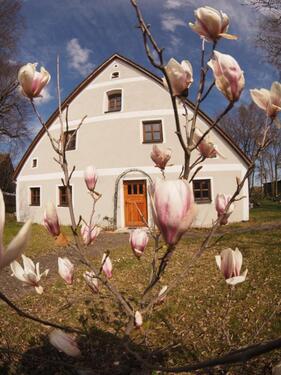 Foto - Denkmalgeschütztes, renoviertes Haus in Mühlhausen.