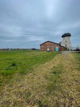 Foto - andere in Warendorf